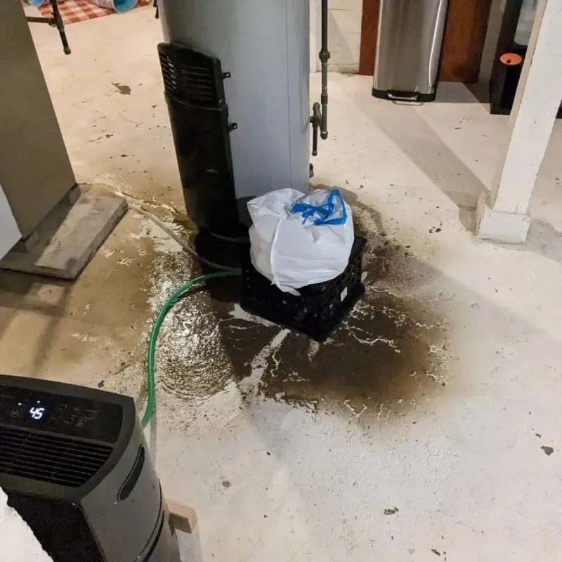 Sewage Backup Cleanup Service in Rhodhiss, NC
